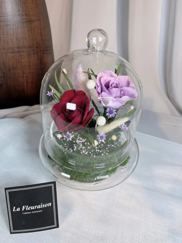 Petite Enchantment Dome - P5785