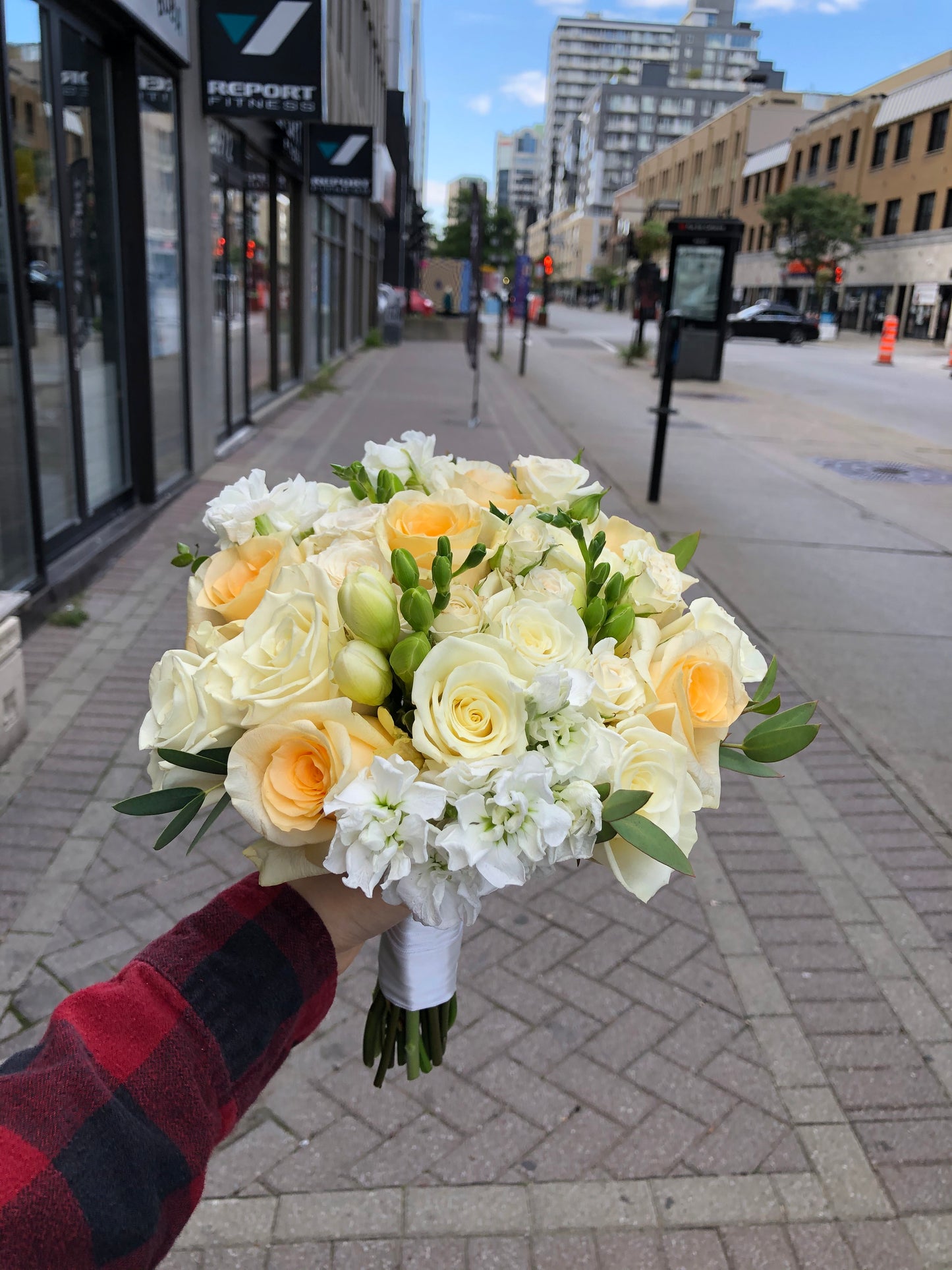 Peach Serenity - F6032