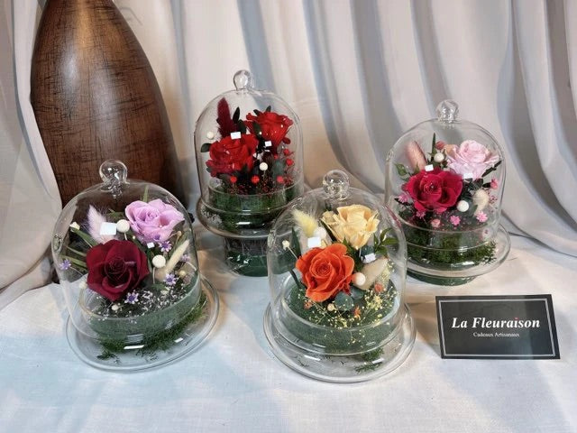 Petite Enchantment Dome - P5785