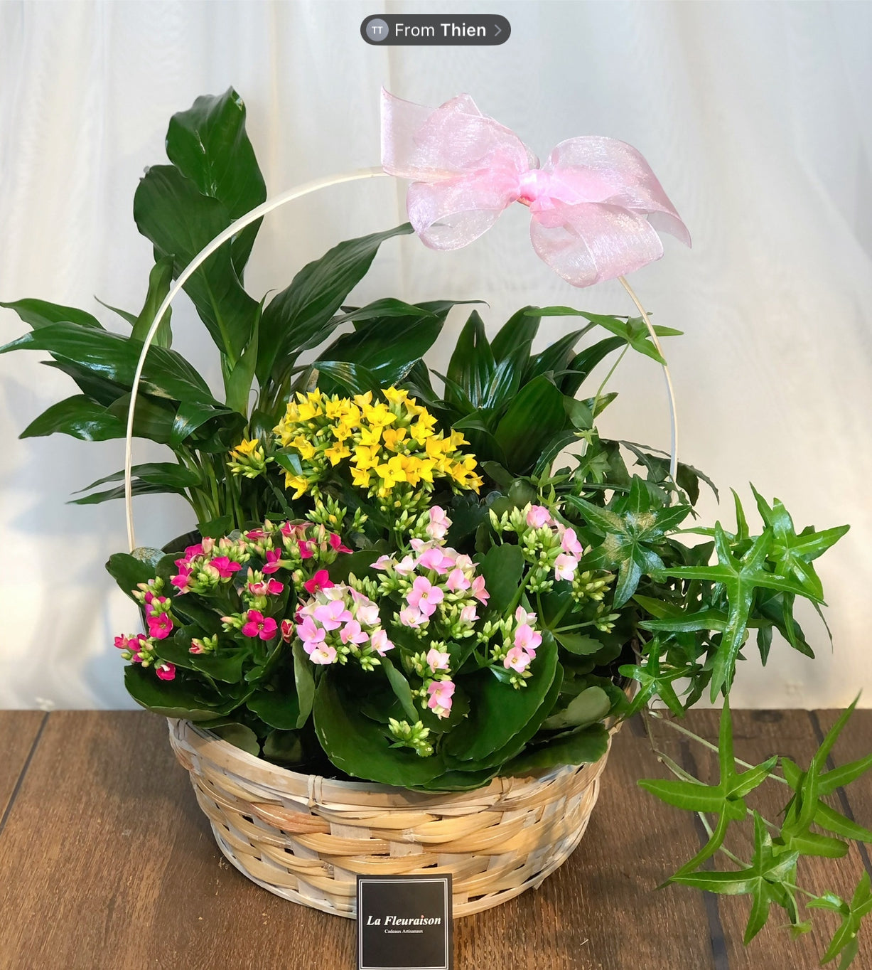 Petite Garden Delight - K6074