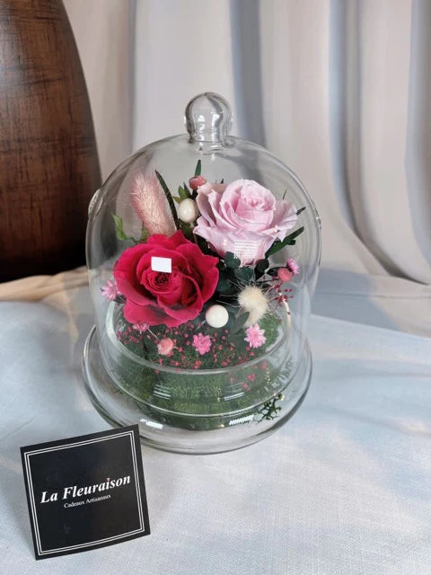 Petite Enchantment Dome - P5785