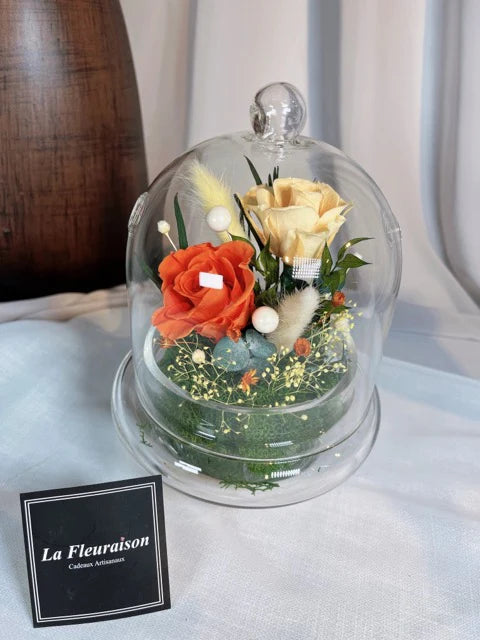 Petite Enchantment Dome - P5785