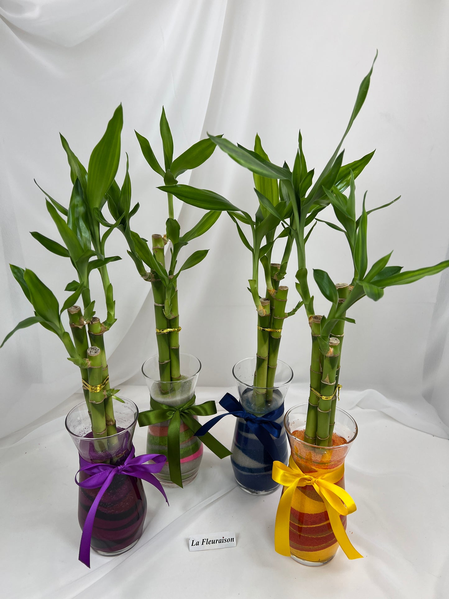 Lucky Bamboo - K7002