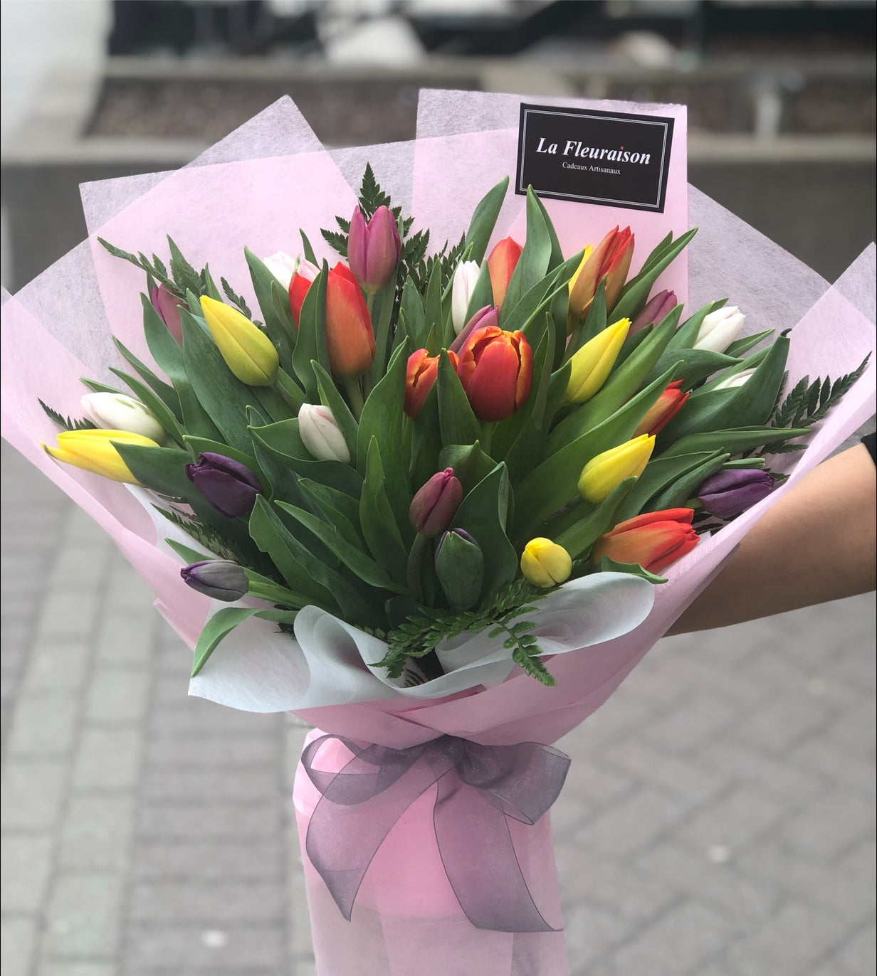 Tulip Elegance (large) - F6070