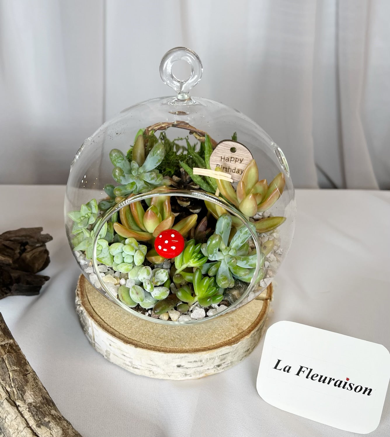 plante en terrarium Terrarium de plantes grasses (très grand) – La Fleuraison