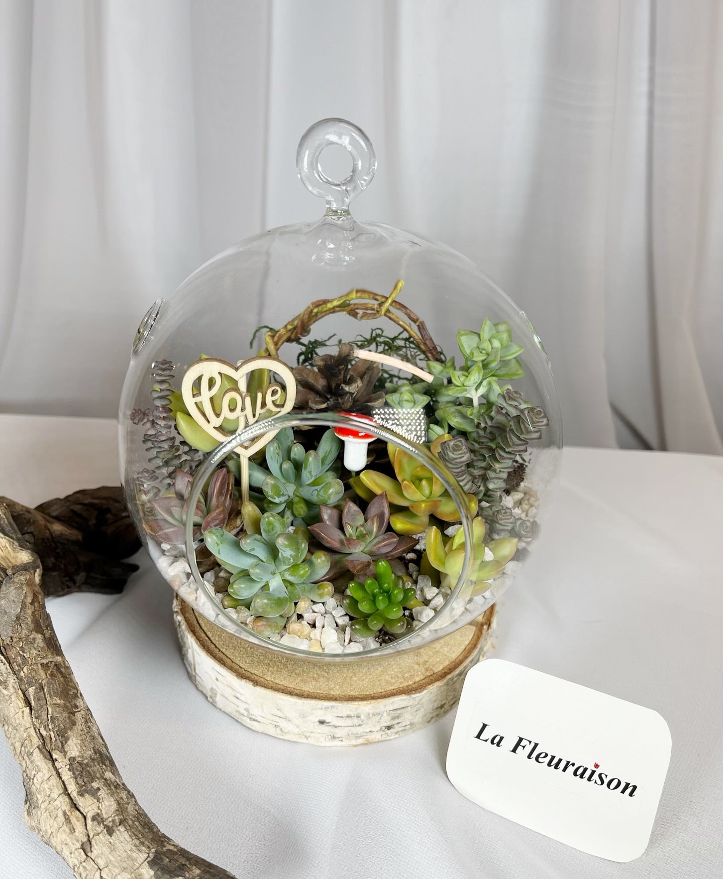 terrarium pour plantes grasses Grand terrarium de plantes grasses – La Fleuraison