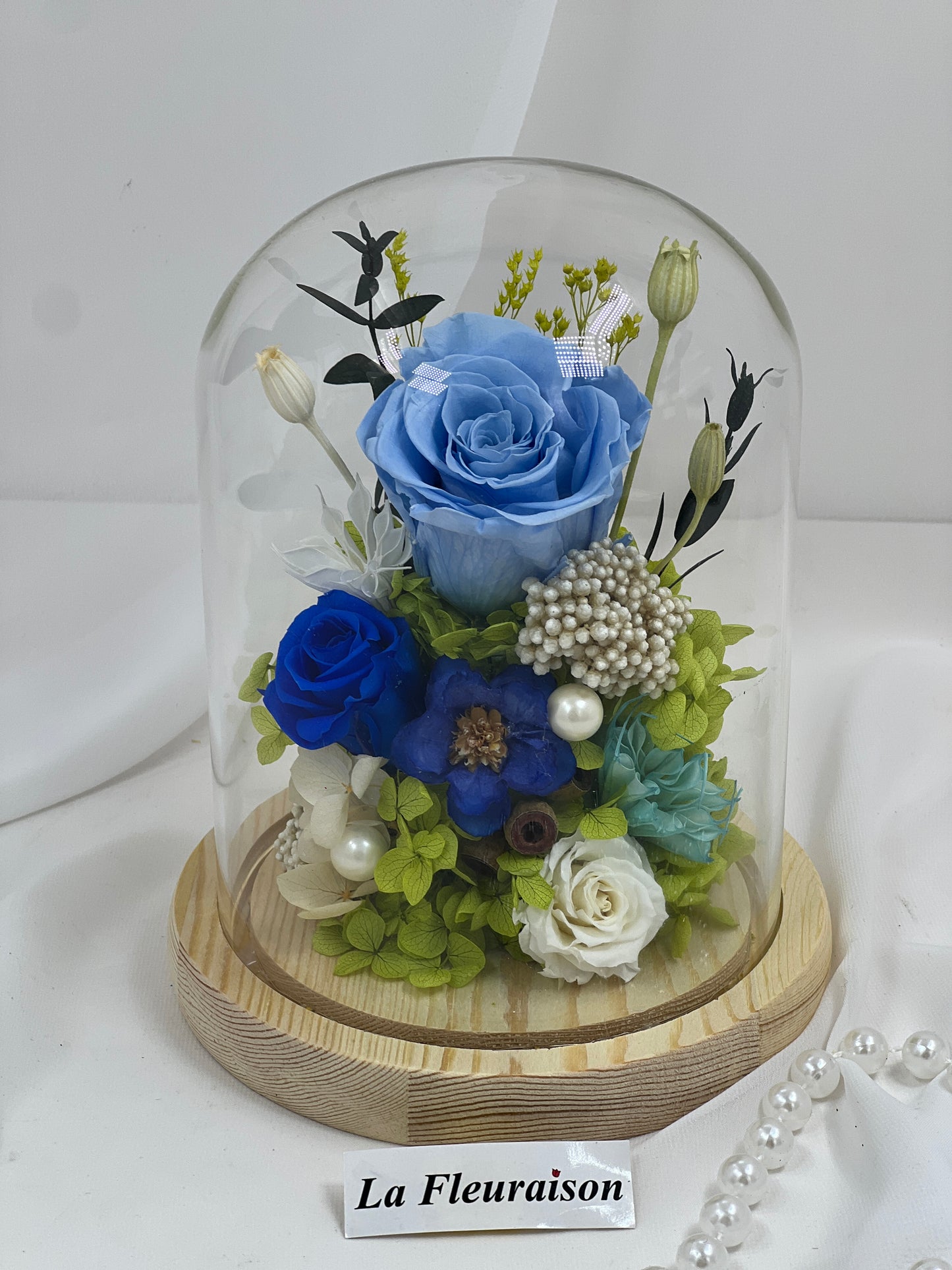 Dôme Éternel Bloom - P1054