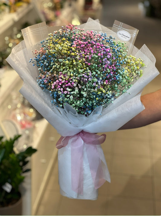 Rainbow Whisper - P1085