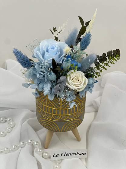 Colección Whimsy Grove - P1070