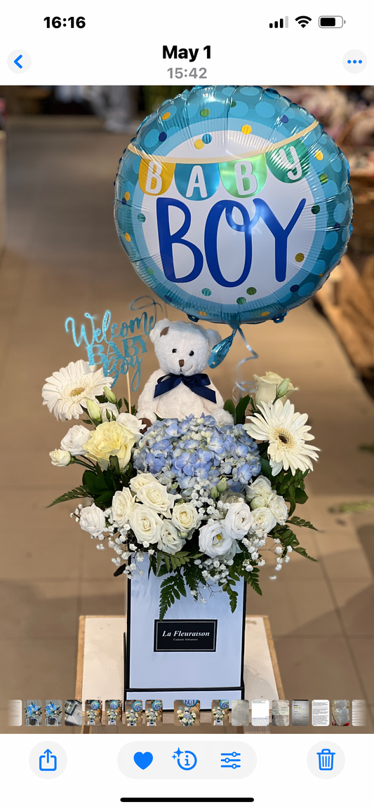 Baby Boy - F7005