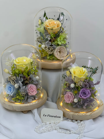 Eternal Bloom Dome - P1054