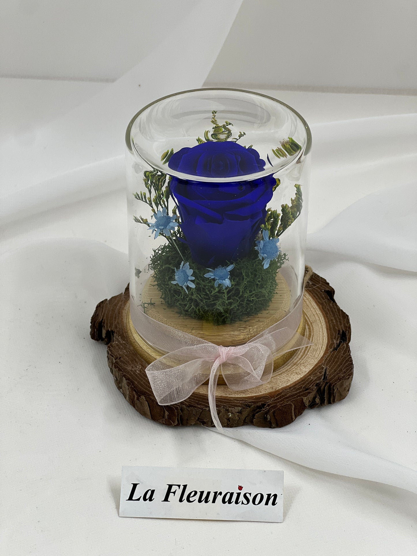 Petite Eternité - P1077