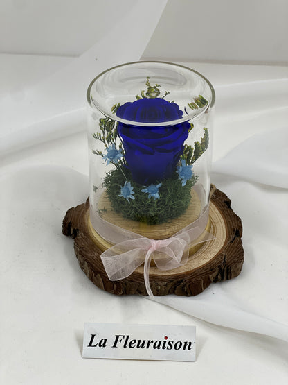 Petite Eternité - P1077