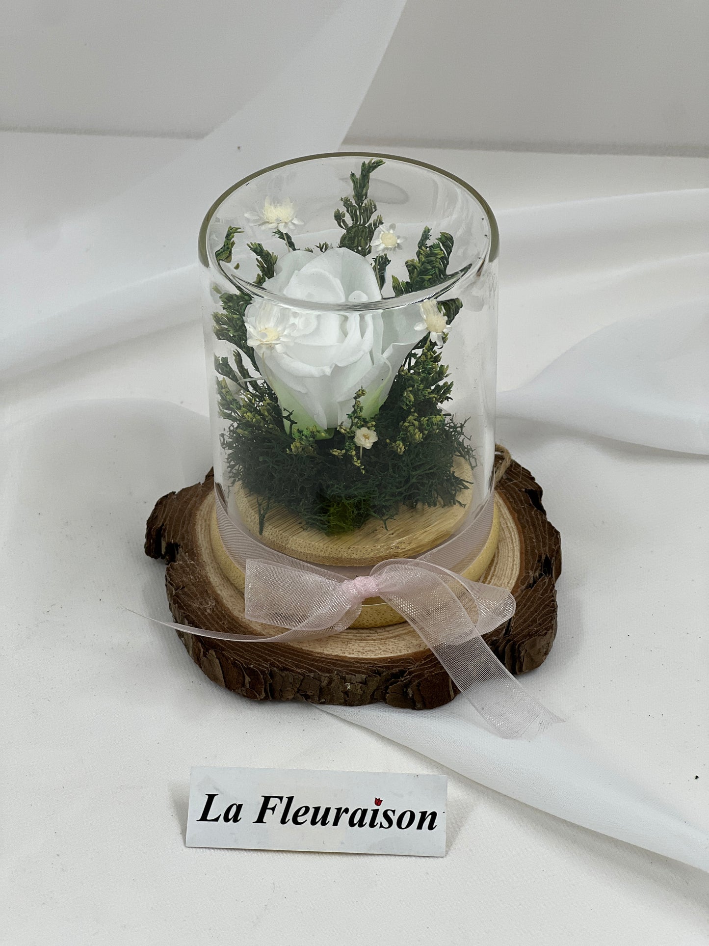 Petite Eternité - P1077