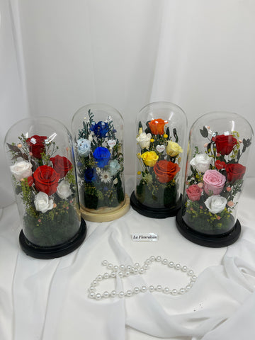 Spectrum of Sentiments - P5808