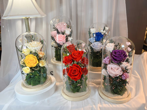Timeless Rose Gallery - P5789