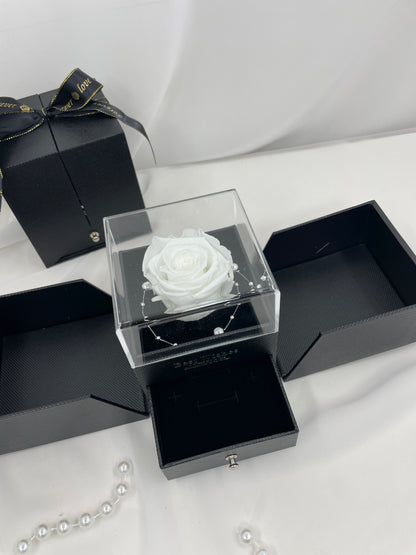 Forever Encased - P1078