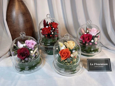Petite Enchantment Dome - P5785