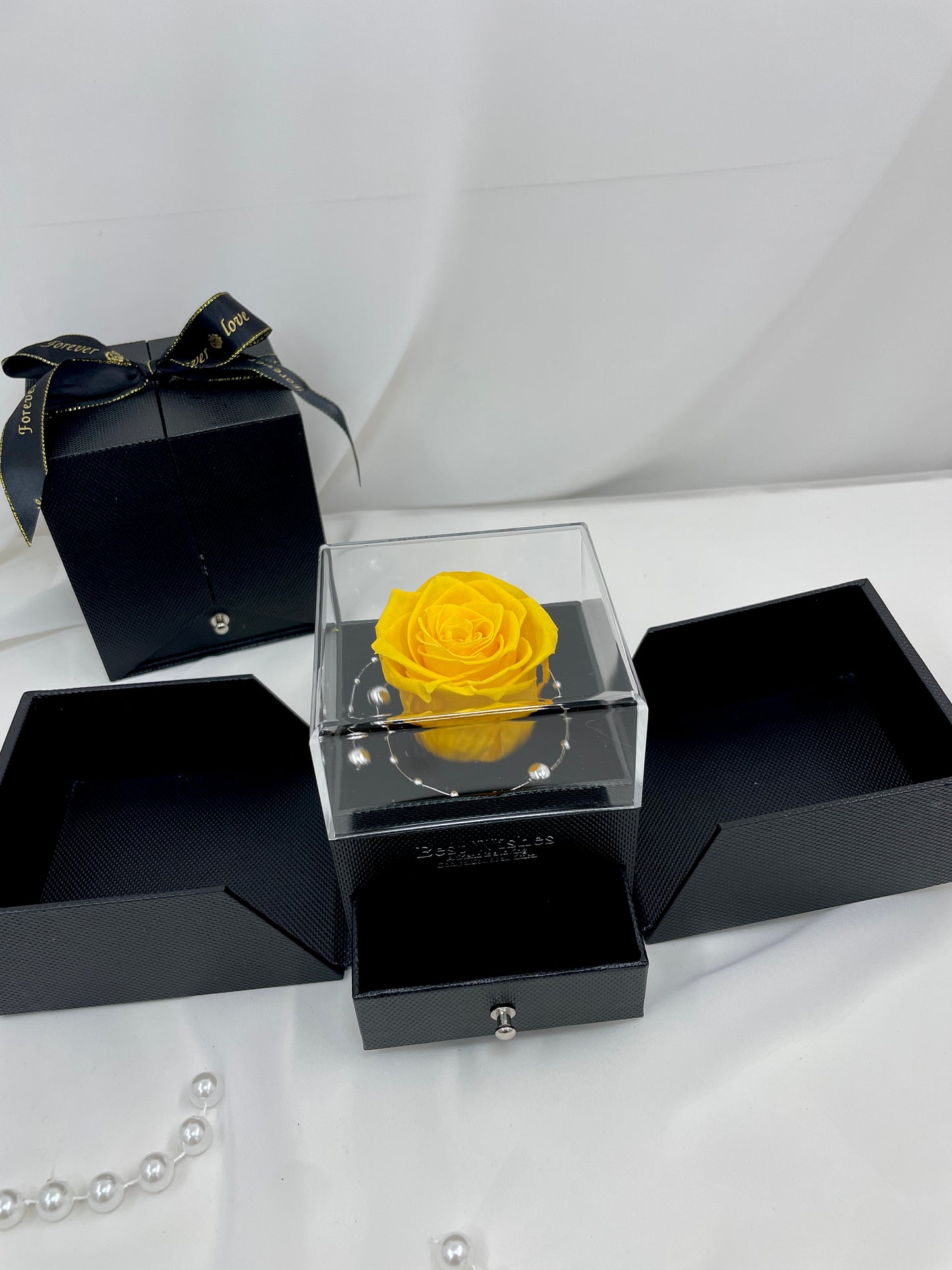 Forever Encased - P1078