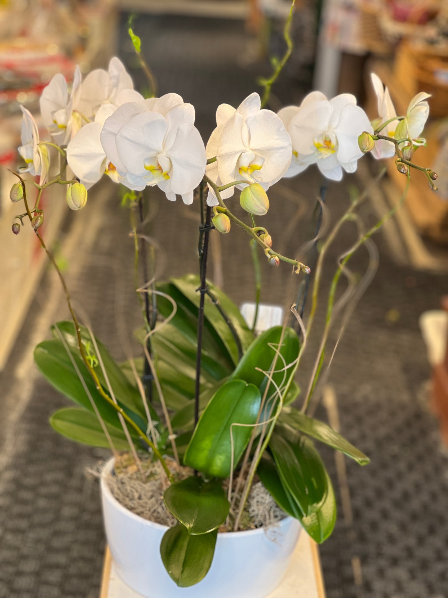 Sans titre Mar19_21:33