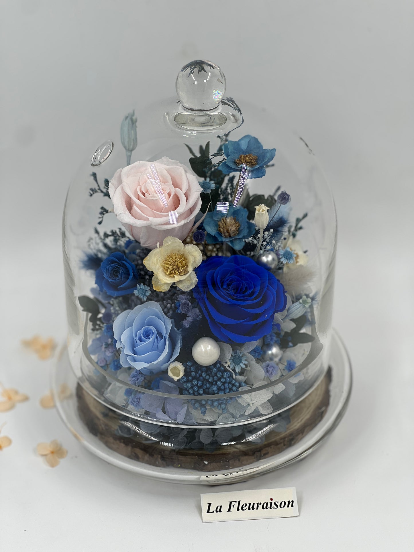 Eternal Garden Dome - P1096