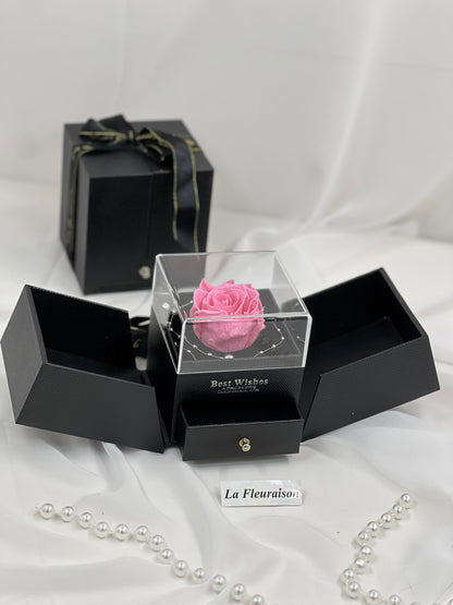 Forever Encased - P1078