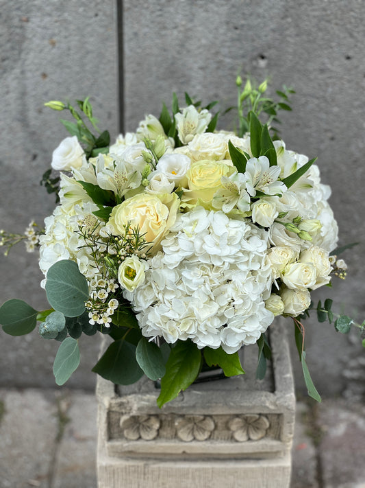 Ivory Grace - F7007