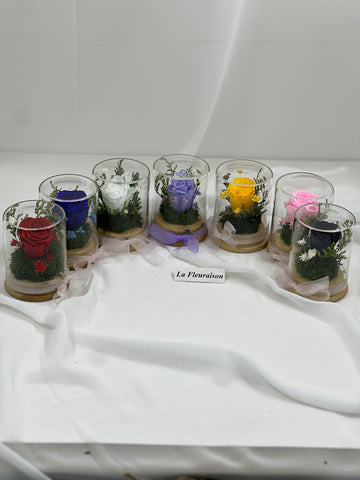 Petite Eternité - P1077