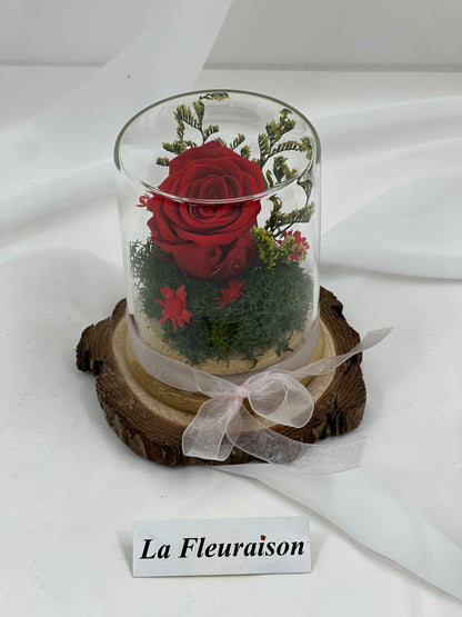 Petite Eternité - P1077