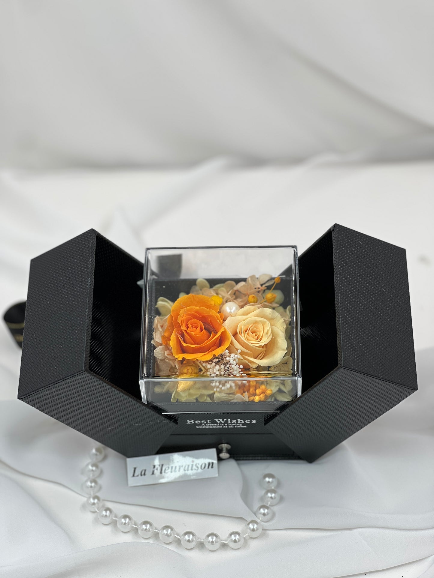Eternal Elegance Duo Collection - P1076