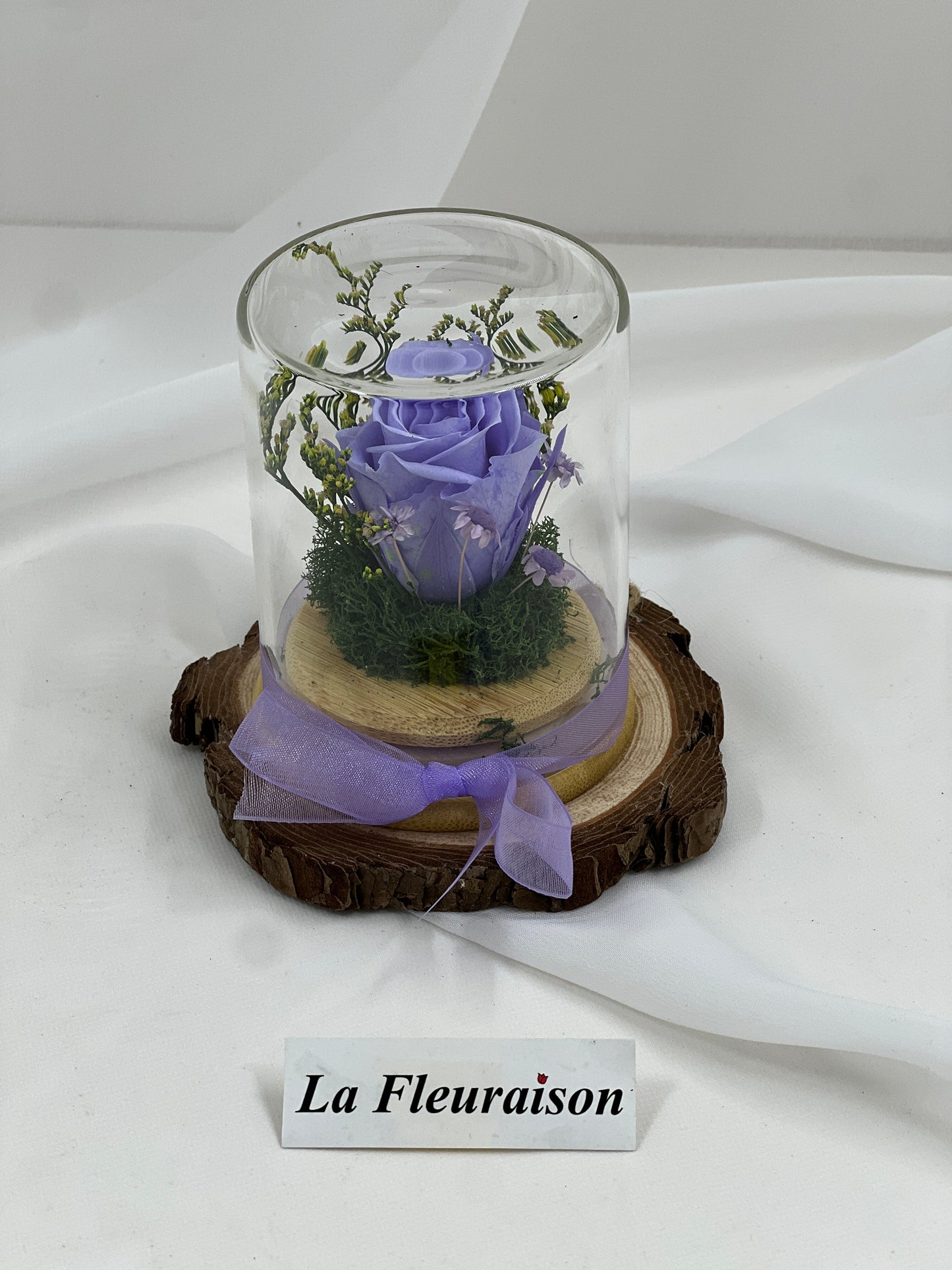 Petite Eternité - P1077