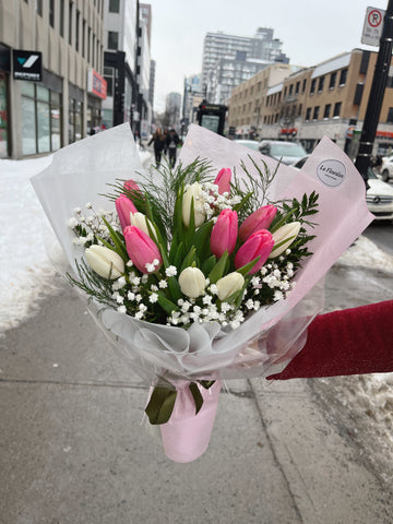 Tulip Elegance (small) - F6006