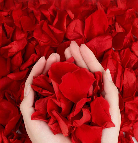 Box of Red Rose Petals