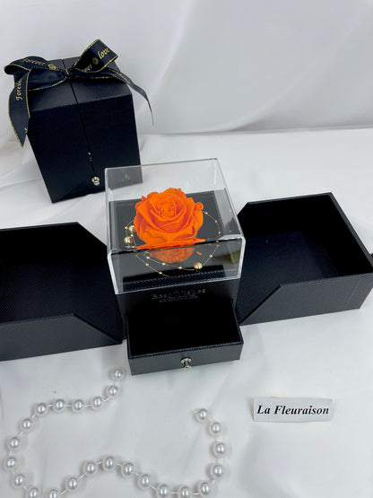 Forever Encased - P1078