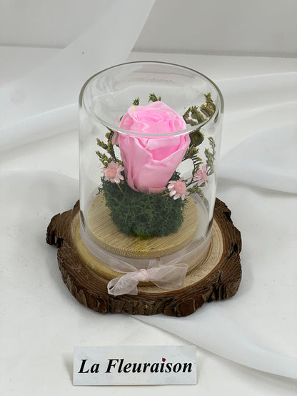 Petite Eternité - P1077