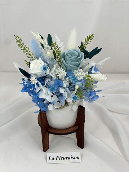 Whimsy Grove Collection - P1070