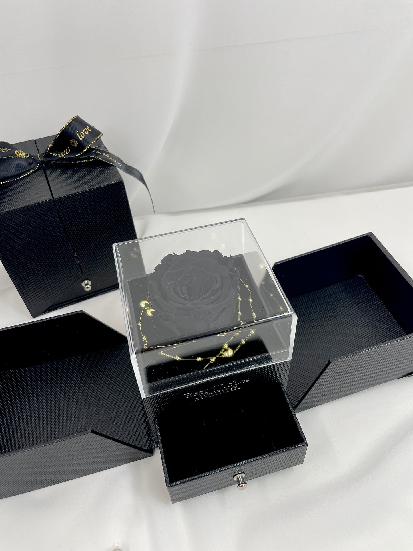 Forever Encased - P1078