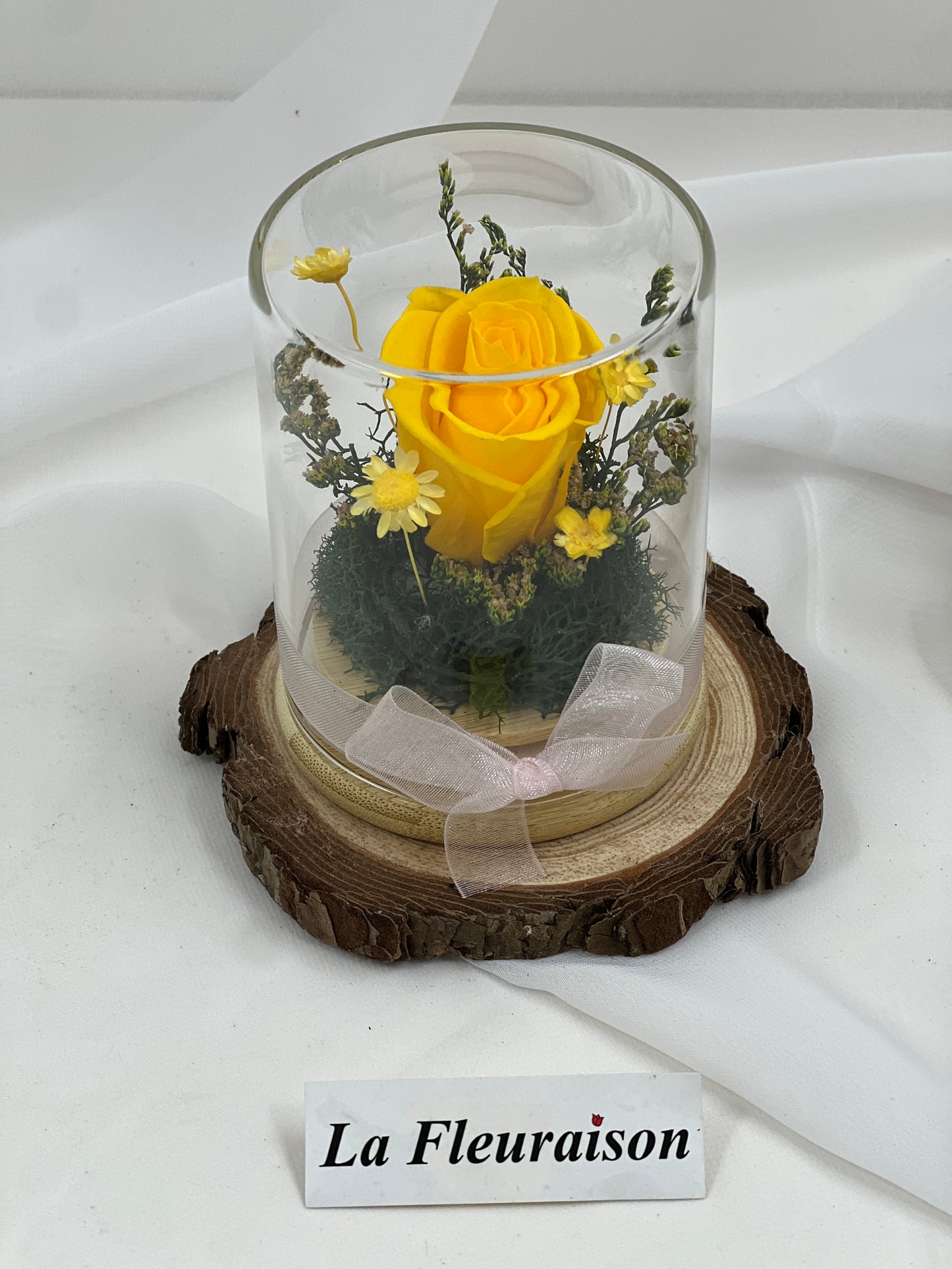 Petite Eternité - P1077