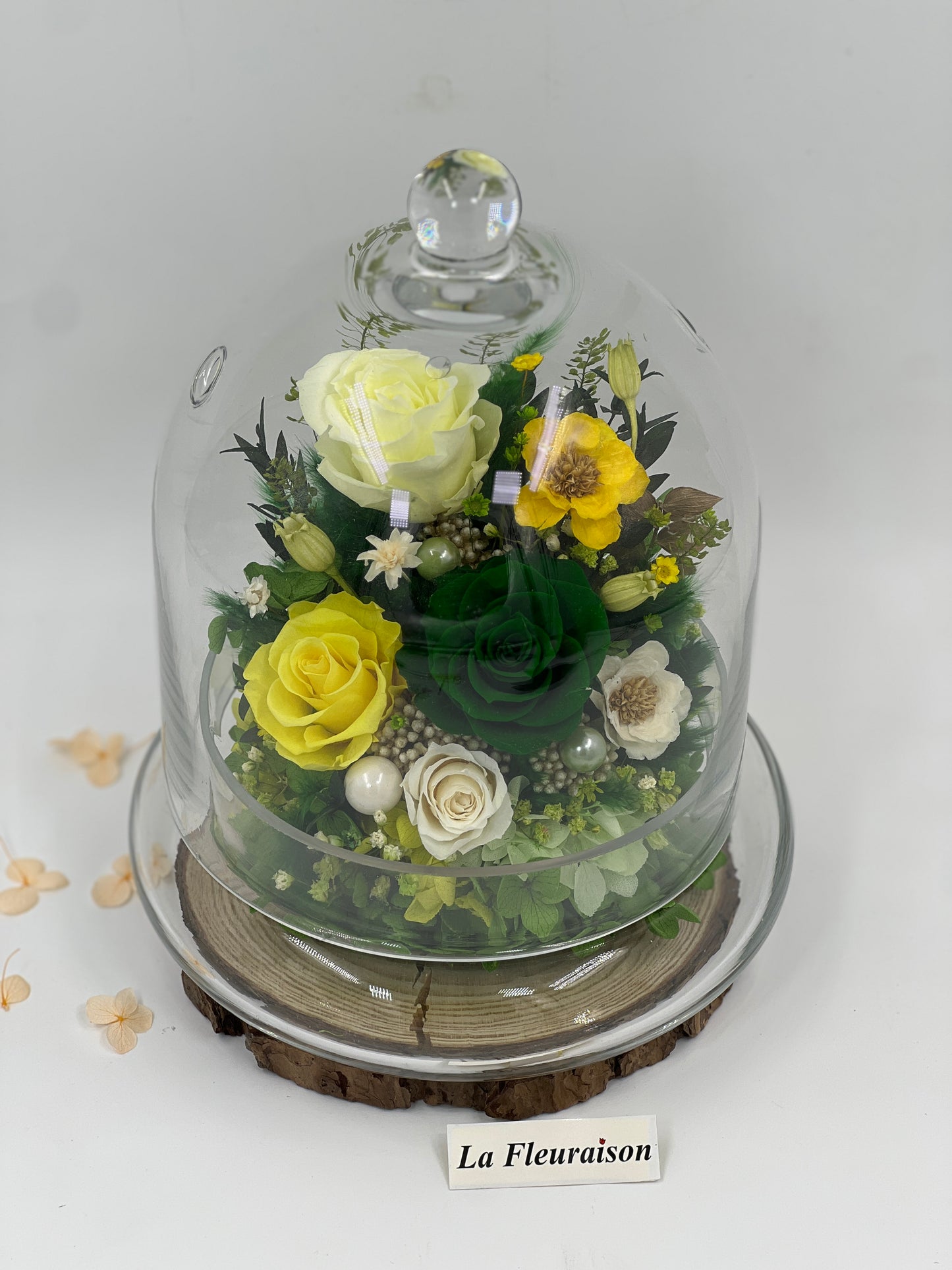 Eternal Garden Dome - P1096