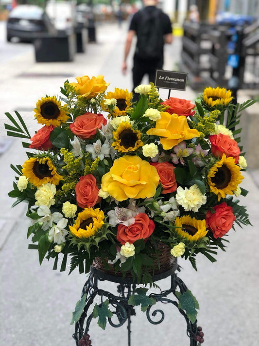 Golden Gala Display - F6015